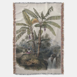 Antiker Tropischer Bananenbaumwald   Vintage Bota Decke