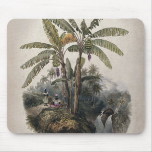 Antiker Tropischer Bananenbaumwald   Vintage Bota Mousepad