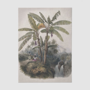 Antiker Tropischer Bananenbaumwald   Vintage Bota Seidenpapier