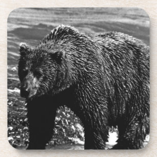 Antiker USA Alaska Braunbär Getränkeuntersetzer