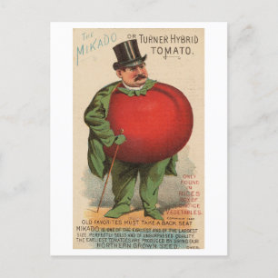 Antiker viktorianischer Mann mit Tomatenkörper Postkarte