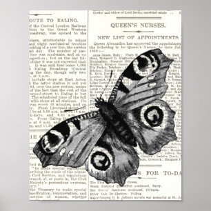 Antiker Vintager Schmetterling und Script Black &  Poster