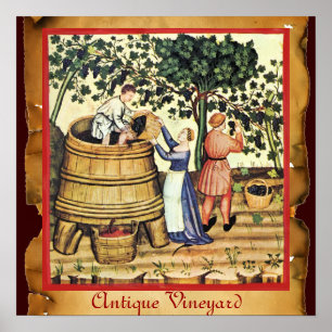 ANTIKER WEINBERG ERNTE PERGAMENT POSTER