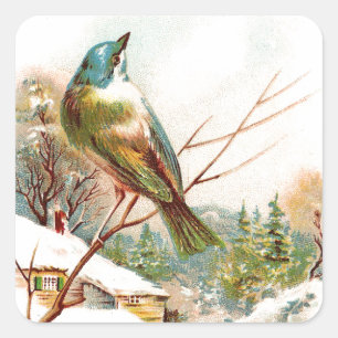 Antiker Winterblauer Vogel Quadratischer Aufkleber