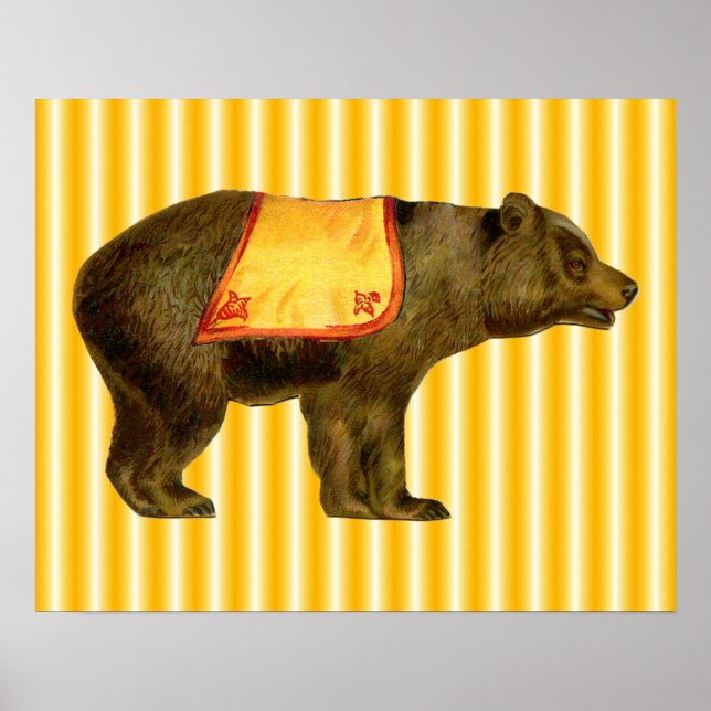 antiker Zirkusbär Poster (Vorne)