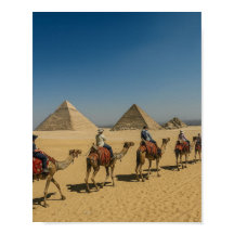 Antikes Ägypten Pyramiden Wüstenkamelritt