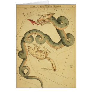 Antikes Astronomie-Poster Draco & Ursa Minor