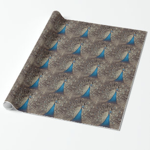 Antikes Blau Pfau Geschenkpapier
