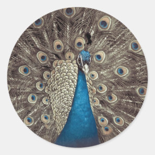 Antikes Blau Pfau Runder Aufkleber