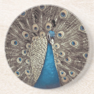 Antikes Blau Pfau Untersetzer