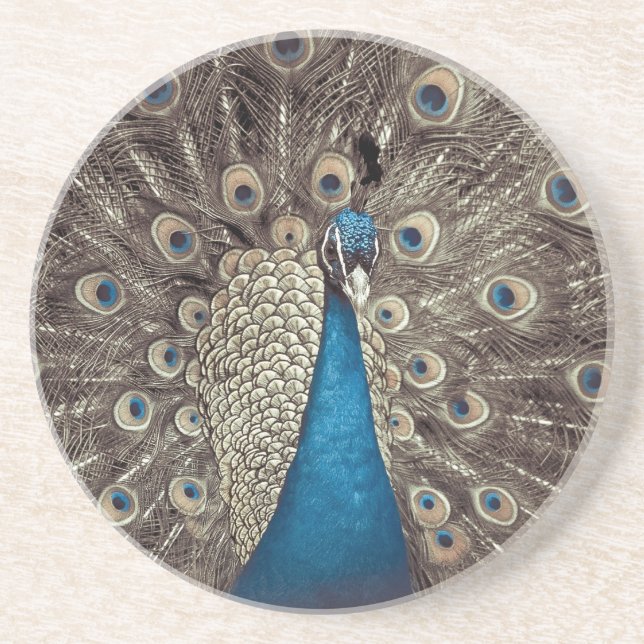 Antikes Blau Pfau Untersetzer (Vorne)