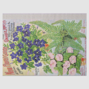 Antikes Blumen-Katalog-Seidenpapier 17x23 Seidenpapier