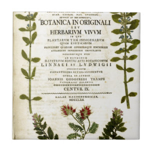 Antikes Botanik-Buchzeichen Fliese