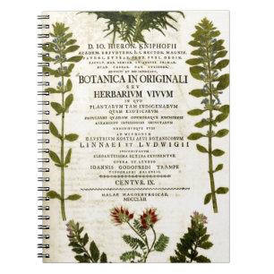Antikes Botanik-Buchzeichen Notizblock