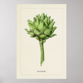 Antikes botanisches Artischockendruck Kunst Poster