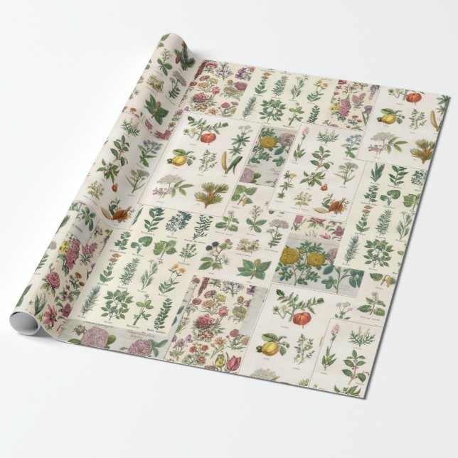 Antikes botanisches Wrap für Decoupage oder Gesche Geschenkpapier (Ungerollt)