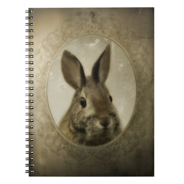 Antikes Bunny Portrait Notizblock (Vorderseite)