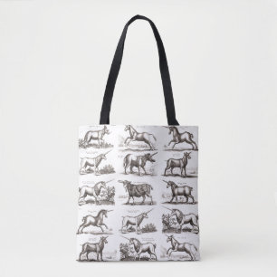 Antikes Einhorn-Gravur Vintage-Zoologie-Exemplar