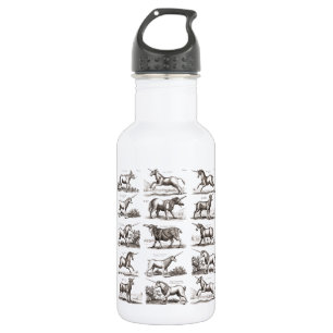 Antikes Einhorn-Gravur Vintage-Zoologie-Exemplar Edelstahlflasche
