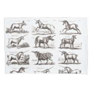 Antikes Einhorn-Gravur-Vintage-Zoologie-Exemplar Kissenbezug
