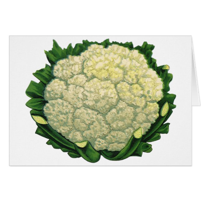 Antikes Essen Gemüse Blumenkohl (Vorderseite (Horizontal))