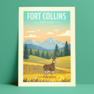 Antikes Fort Collins Colorado Postkarte