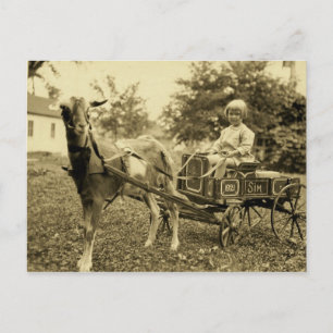 Antikes Foto- "Ziegenwagen"- Postkarte