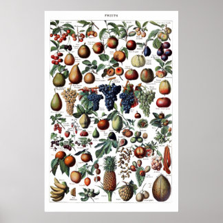 Antikes französisches Vintage-Fruchtposter Poster