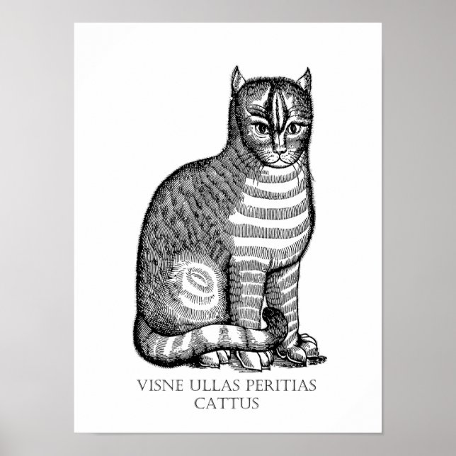 Antikes Fuzzy Cat Poster (Vorne)