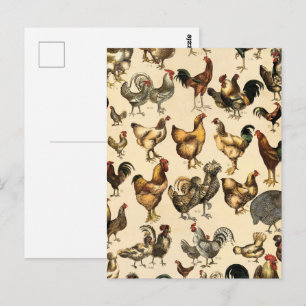 Antikes Geflügel der Welt Hühner-Rasse Kunst Postkarte
