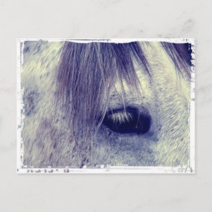 Antikes Grau Postkarte