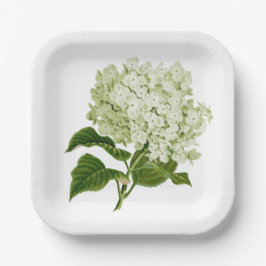 Antikes hellgrün und weiß Hydrangea Blossom Pappteller