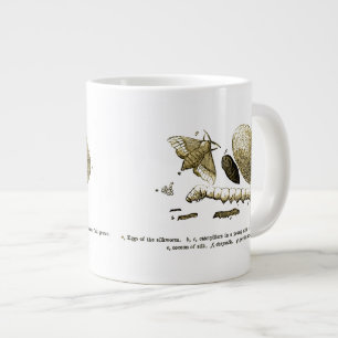 Antikes Insektenbild   Seidenraupe   Motte Jumbo-Tasse