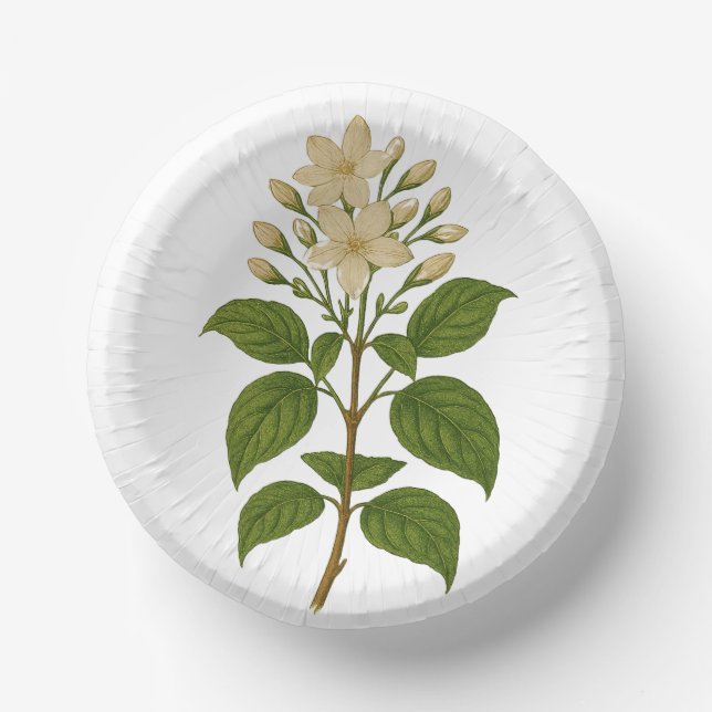 Antikes Jasmin Pappteller (Vorderseite)