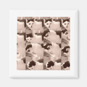 Antikes Kätzchen/Schwarz-Weiß-Foto Magnet