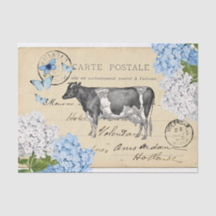 Antikes Kuh Blau Blumen Postkarten Seidenpapier
