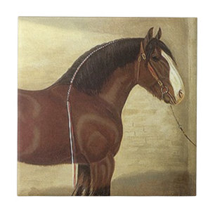 Antikes Kunst-Bay-Clydesdale-Zugpferd-Fliesen-Unte Fliese