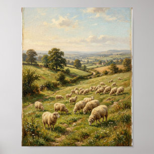 Antikes Landgut Schaf Lämmer Weide I Poster