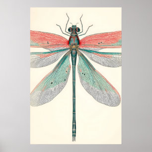 Antikes Libellen-Kunstposter Botanische Natur Poster