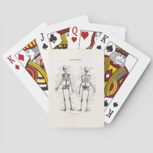Antikes menschliches Skelett Anatomie Knochen Schä Spielkarten