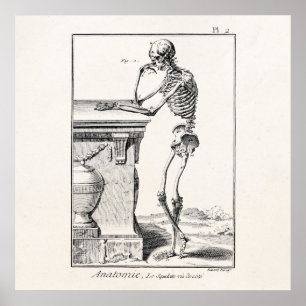 Antikes menschliches Skelett Medizinische Anatomie Poster