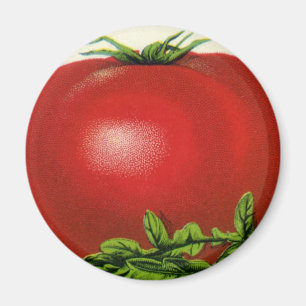 Antikes Obstkistenetikett, Arcadia Beauty Tomaten Magnet