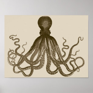 Antikes Octopus-Poster Poster