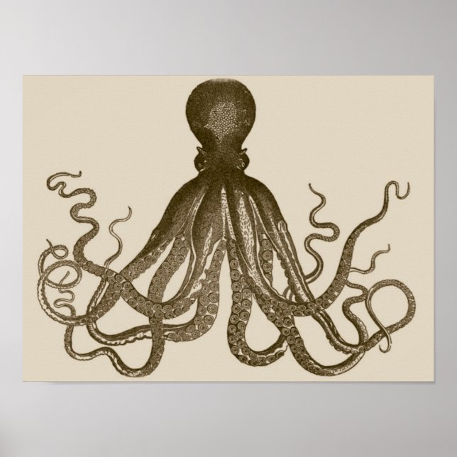 Antikes Octopus-Poster Poster (Vorne)