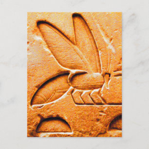 ANTIKES ORANGEGELBES ÄGYPTISCHES HONIGBIENE IMIKER POSTKARTE