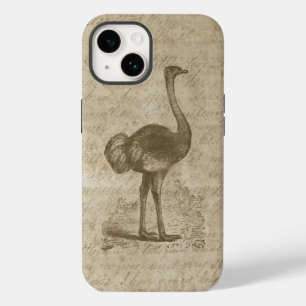 Antikes Ostrich Script Grunge Paper Case-Mate iPhone 14 Hülle