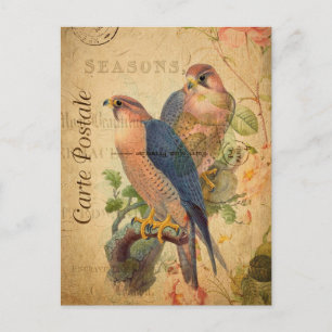 Antikes Paar Wanderfalken Vögel Französisch Postkarte