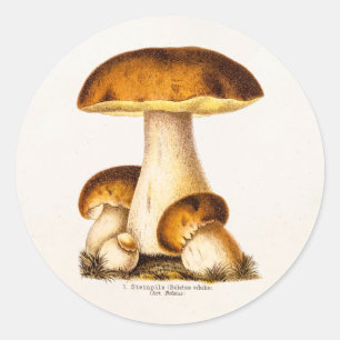 Antikes Pilz-Speisepilze-Template 1800er Runder Aufkleber