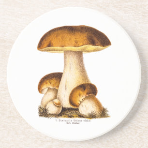 Antikes Pilz-Speisepilze-Template 1800er Sandstein Untersetzer