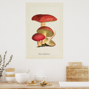 Antikes Pilzkunst-Druck Poster